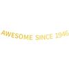 Awesome Since 1946 Banner Pre-strung Happy 79th Birthday Banner Gold Glittery 79 Seventy Nine Years Old Birthday Party Decorations for Men Women view 1