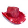 YADIRF Led Hat Cowboy Sequin Party Cap Flashing Light Up Dance Party Cowboy For Halloween Costume Cosplay Holiday (Red) view 2