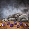 Cats Dice Set: Purrito view 1