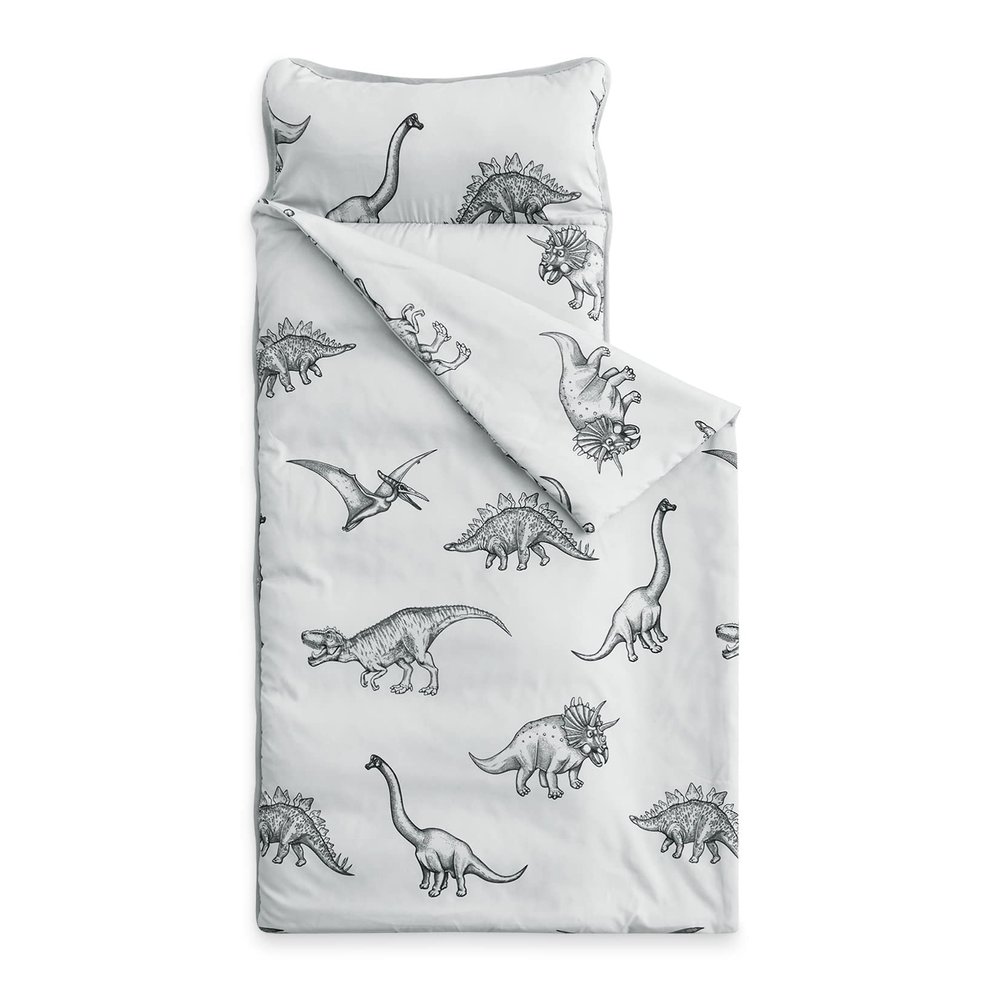 Wake In Cloud - Toddler Nap Mat with Pillow and Blanket, for Kids Boys Ages 3 Plus in Kindergarten Daycare Preschool, Roll Up Sleeping Bag, Jurassic Dinosaur Dino, Grey, Standard