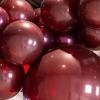 100 Pack Burgundy Balloons Different Sizes 18 12 10 5 Inch KIRIKOU Party Balloons for Birthday Valentines Baby Shower Bridal Wedding Party Decors view 1