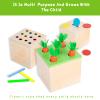 4-in-1 Montessori Wooden Play Kit for 1+ Year Old - Carrot Harvest Games, Infant Coin Box, Fine Motor Skills Toys and Cotton Swab Drop Game Box, Gift for Babies 6-12 Months view 2