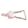 Baby Walking Harness, Adjustable Toddler Walk Assistant Belt, Mesh Webbing, Detachable Crotch Pad, 8-24 Months, 5-20kg view 3