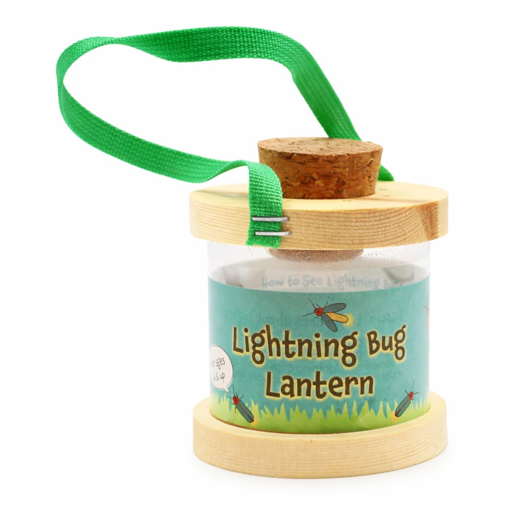 Backyard Essentials Kids Lightning Bug and Firefly Lantern - Plexiglass Chamber with Wooden Base