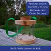 Backyard Essentials Kids Lightning Bug and Firefly Lantern - Plexiglass Chamber with Wooden Base view 3