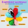 8-in-1 Sensory Balls for Infant Toddlers,Rainbow Fabric Baby Toy for Sensory Development,Montessori Toys for Babies 6-12 Months,8 Different Sensory Tactile Textures with Crinkle Rattle Squeakers view 2