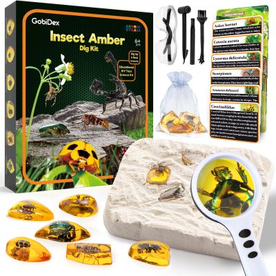 GobiDex Amber Dig Kit-Artificial Insect Resin, Excavate 6 Insects Specimens, STEM Geographic Educational Bugs Toys, Excavation Toys for Fun Bugs Party Favors, Science Kits for Kids Age 6-8 8-12