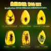GobiDex Amber Dig Kit-Artificial Insect Resin, Excavate 6 Insects Specimens, STEM Geographic Educational Bugs Toys, Excavation Toys for Fun Bugs Party Favors, Science Kits for Kids Age 6-8 8-12 view 2