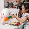 HOUPU Soft Toy - Sitting Lop Eared Rabbit, Easter White Rabbit Stuffed Bunny Animal with Carrot Soft Lovely Realistic Long-Eared Standing Pink Plush Toys (White-Carrot,25.5in/65cm) view 4