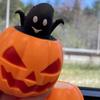 Tigerdoe Halloween Toys for Kids -Pumpkin Fidget Toy - 6 PC Set Halloween Pop Up Toys - Squishy Anxiety Relief Sensory Toy - Halloween Toys - Halloween Squishy - Halloween Party Favors view 4