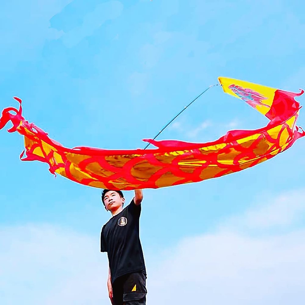 DSJUGGLING 3 Meters (9.8 FT) Golden Scale Dragon Poi, Outdoor Flinging Fitness Dragon Dance 3D Rainbow Color Dragon Ribbon Streamer with Fiberglass Handstick + Travel Bag! (Golden Red Dragon)
