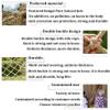 Rope Netting Child Safety Net Treehouse Rope Ladder Heavy Duty Cargo Netting Playground Climbing Net Stair Railing Balcony Protection Net Outdoor Plants Pet Anti Fall Net ( Size : 2*4m(7*13ft) ) view 4