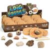 Gamerside Fossil Dig Kit - Educational STEM Science Toys for Kids Ages 6+ - Dig Up 12 Fossils Real & Dinosaur Bones Rocks - Digging Activities Kits - Paleontology, Discovery Gifts for Boys & Girls view 1