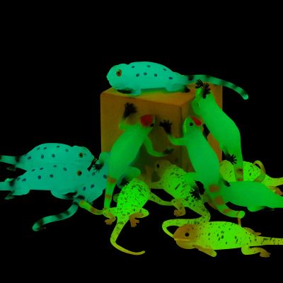 Axbotoy Glow in The Dark Lizard Set,12 Pack Stretchy Realistic Reptile Toy Set for for Kids Boys Girls,Great for Birthday,Themed Parties,Goodie Bag Fillers,Carnival Prizes