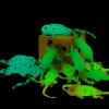 Axbotoy Glow in The Dark Lizard Set,12 Pack Stretchy Realistic Reptile Toy Set for for Kids Boys Girls,Great for Birthday,Themed Parties,Goodie Bag Fillers,Carnival Prizes view 1