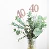 10-Pack Double Sided Glitter 40th Birthday Centerpiece Anniversary Centerpiece Sticks, Number 40 Table Topper Cake Topper for 40th Birthday Anniversary Table Party Decorations (Double Sided rose gold) view 3