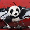 Apricot Lamb Toys Plush Panda Bear Stuffed Animal Soft Cuddly Perfect for Child Black and White Panda view 2