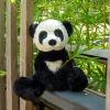 Apricot Lamb Toys Plush Panda Bear Stuffed Animal Soft Cuddly Perfect for Child Black and White Panda view 3