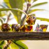 Mini Planet Sharp Edge Polyhedral DND Dungeons and Dragons Handmade Dice Set view 3