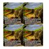4x | Finale of Devastation | Full Art | Foil or Non-Foil (Foil) view 1