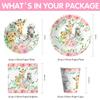 HIPVVILD Safari Birthday Decorations Tableware Girl, Jungle Theme Party Supplies, Plate, Cup, Napkin, Tablecloth, Cutlery, Straw, Safari Jungle Animal Birthday Baby Shower Party Decorations | Serve 24 view 2