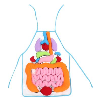 POPETPOP Human Organs Apron 3D Educational Toy for Kids Preschool Cognitive Anatomy Teaching Tool for Home and Classroom Science Learning