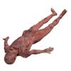 Halloween Bloody Dead Body, 4.6 ft Latex Skinned Full Body Hanging Corpse Torso Halloween Body Parts Props for Haunted House Zombie Halloween Party Decoration view 4
