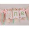 Baby Birthday Decoration 1st Birthday High Chair Tutu Skirt Banner Rabbit Theme Party Supplies Sweet First Birthday Banner (Green) view 3