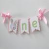 Baby Birthday Decoration 1st Birthday High Chair Tutu Skirt Banner Rabbit Theme Party Supplies Sweet First Birthday Banner (Green) view 4