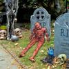 Halloween Bloody Dead Body - 4.8ft Latex Skinned Hanging Corpse Torso Props for Haunted House Zombie Halloween Party Decoration(1Piece) view 4