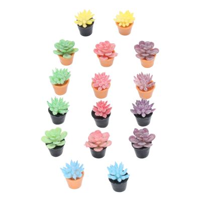 Dilwe 16Pcs Dollhouse Potted Plants, Mini Succulents Plants for Dollhouse Decoration, Resin 1:12 Scale Lifelike Appearance Colors Miniature Bonsai Plant Mini Potted Plant Flower Model