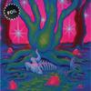 Card Game Magic: The Gathering Secret Lair Premium Foil: MTG The Astrology Lands Capricorn (MTGWCSCLRPFMTGALCP1) view 4