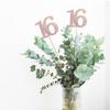 10-Pack Double Sided Glitter 16th Birthday Centerpiece Anniversary Centerpiece Sticks, Number 16 Table Topper Cake Topper for 16th Birthday Anniversary Table Party Decorations (Double Sided rose gold) view 3