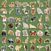 100 Pcs Animal Stickers for Kids, Waterproof Realistic Wild Jungle Zoo Farm Animal Stickers for Toddlers, Teacher Classroom Rewards, Family Activities, Birthday Party Favors view 2