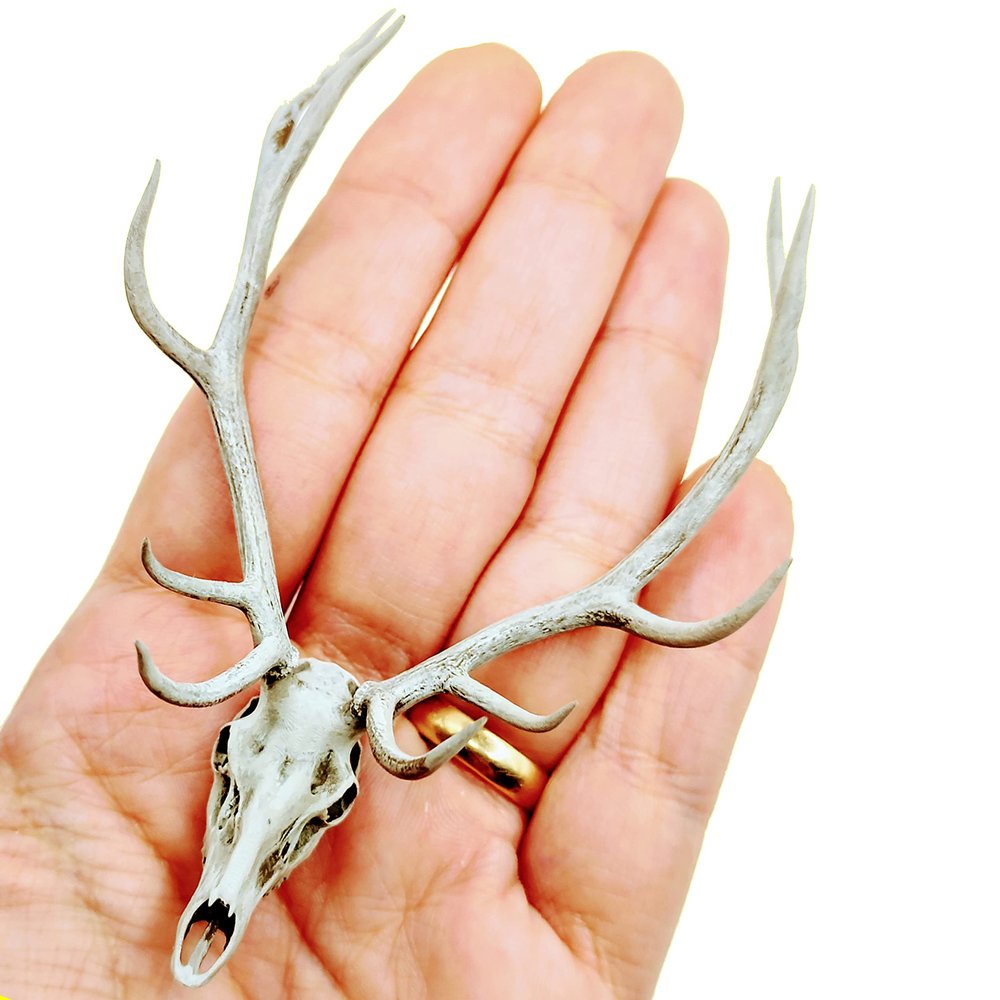 Red Deer Skull 1:12 Scale Dollhouse Miniature Realistic Replica Cranium (Bone)