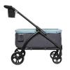 Baby Trend Expedition/Tour LTE 2-in-1 Stroller Wagon, Desert Blue view 2