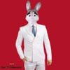 SandT Collection Bunny Head Latex Mask Dress Up Halloween Costume Party Mask Cosplay view 2