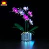 Brick Shine GC Light kit for Orchid 10311 (Model Set is not Included) (Sound Control) view 3