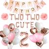 Two Two Cute Birthday Decorations, Tutu Cute 2nd Bday Decorations, Ballerina Themed Ballet Theme Birthday Party Decorations, Second Year Old Party Bday Decor Girl, Two-Tu Tutus Dancing view 1