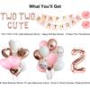 Two Two Cute Birthday Decorations, Tutu Cute 2nd Bday Decorations, Ballerina Themed Ballet Theme Birthday Party Decorations, Second Year Old Party Bday Decor Girl, Two-Tu Tutus Dancing view 2
