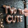 Two Two Cute Birthday Decorations, Tutu Cute 2nd Bday Decorations, Ballerina Themed Ballet Theme Birthday Party Decorations, Second Year Old Party Bday Decor Girl, Two-Tu Tutus Dancing view 3