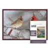 11.25x38.25 Dark Brown Solid Wood Picture Frame Set with Peel & Stick Puzzle Glue Sheets | Interior Depth 0.5 Inches | Dark Brown Puzzle Frame with UV Acrylic, Foam Backing & Hanging Hardware view 1