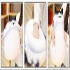 GOOC 12 Inch Gray Striped Tabby Cat Stuffed Animals Round Fat Striped Tabby Cat Plush Hugging Pillow Stuffed Cat Doll Plushies Gift for Kids and Lovers in Birthday, Christmas, Valentine's Day.. view 2