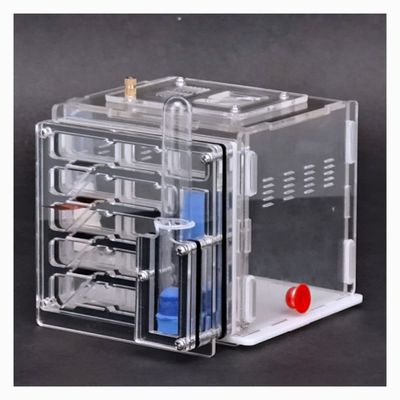 NA Ant Farm Acrylic Ant Farm Ant Nest Ant House Display Box with Feeding Area Pet Anthill Castle with Feeding Area Workshop