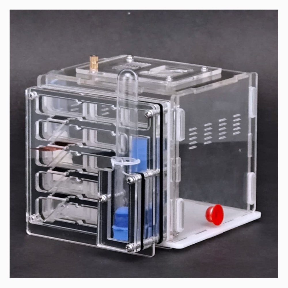 NA Ant Farm Acrylic Ant Farm Ant Nest Ant House Display Box with Feeding Area Pet Anthill Castle with Feeding Area Workshop