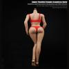 1/6 Scale Female Action Figure Body, Medium Bust, Super Flexible, Detachable Feet (Suntan Skin) view 4