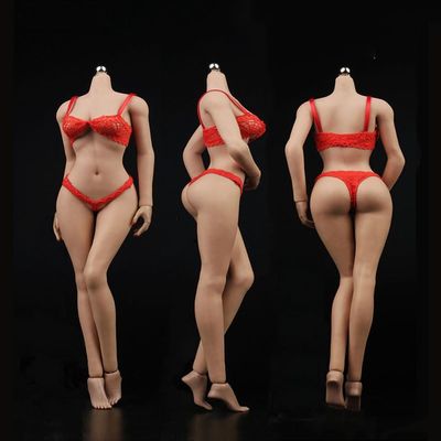 1/6 Scale Female Body, Medium Bust Female Super Flexible Seamless Action Figure Body Doll with Detachable Feet (Pale Skin)
