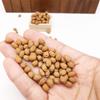 SXFSE Dollhouse Decoration Accessories, 1:12 Dollhouse 10 Pcs Miniature Kiwi Kitchen Scene Ornament view 2