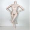 DIY OOAK Doll Bodies for Replacement 12 inch Fashion Doll Body Supermodel Collector Doll Body Articulated Jointed Posable Doll Making Repair (#1 White) view 2