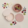 ana baby 2 Pack Silicone Bowls with Lids, for Babies and Toddlers, BPA Free, Dishwasher, Microwave, and Freezer Safe view 2